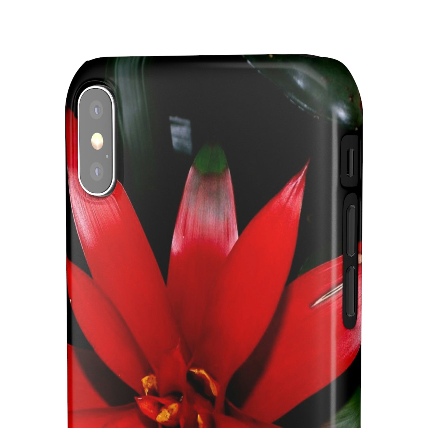 Floral Burst Snap Cases