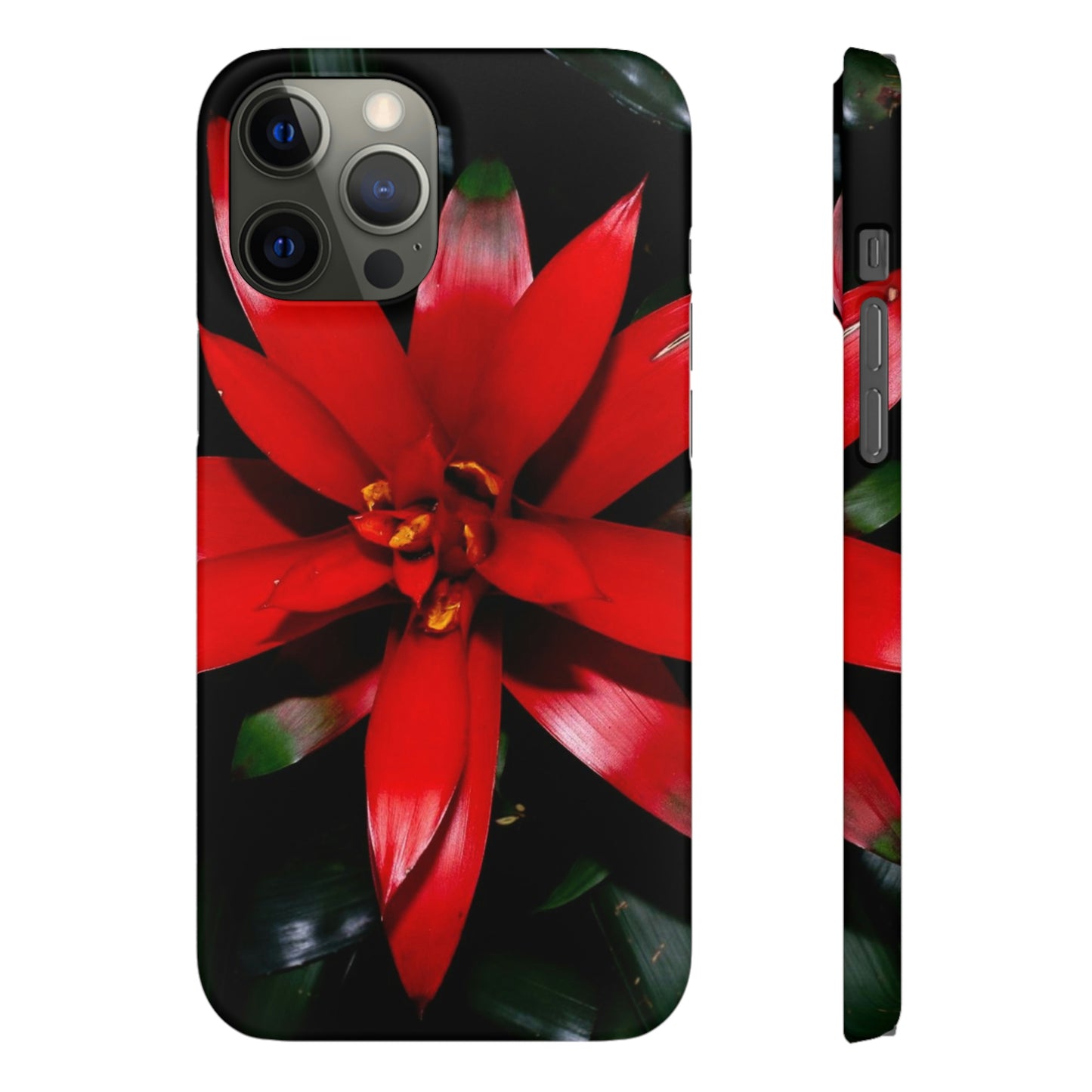 Floral Burst Snap Cases