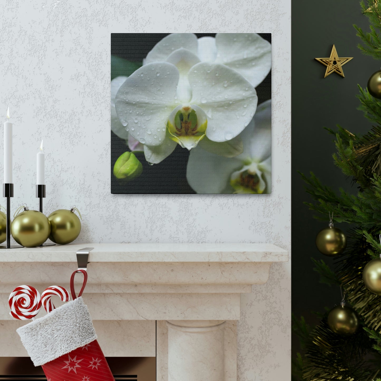 Orchid in the dark Canvas Gallery Wraps