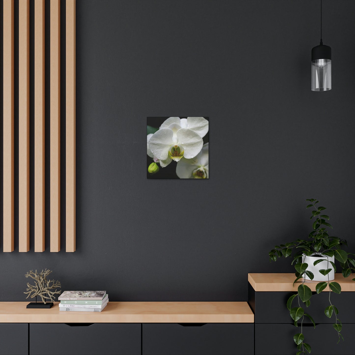 Orchid in the dark Canvas Gallery Wraps