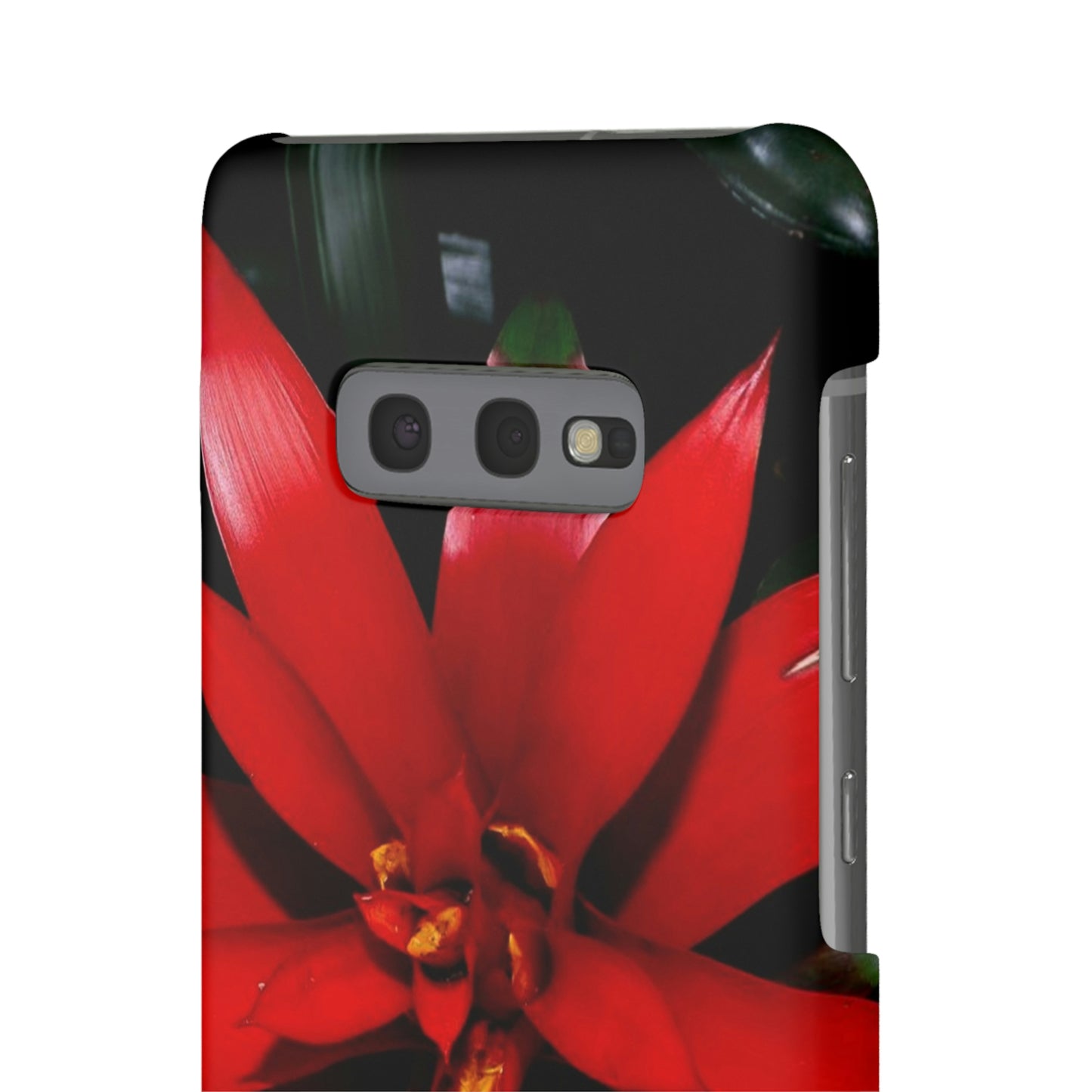 Floral Burst Snap Cases