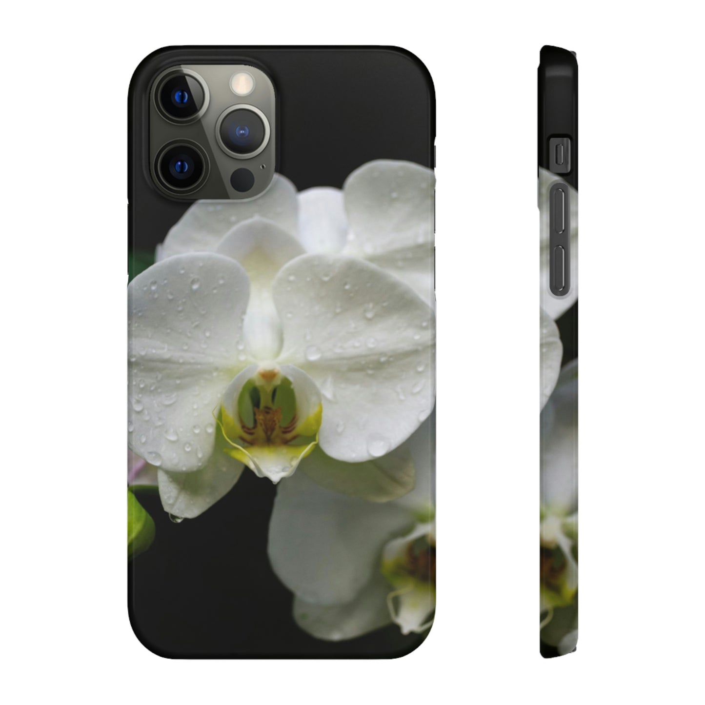 Orchid Snap Cases