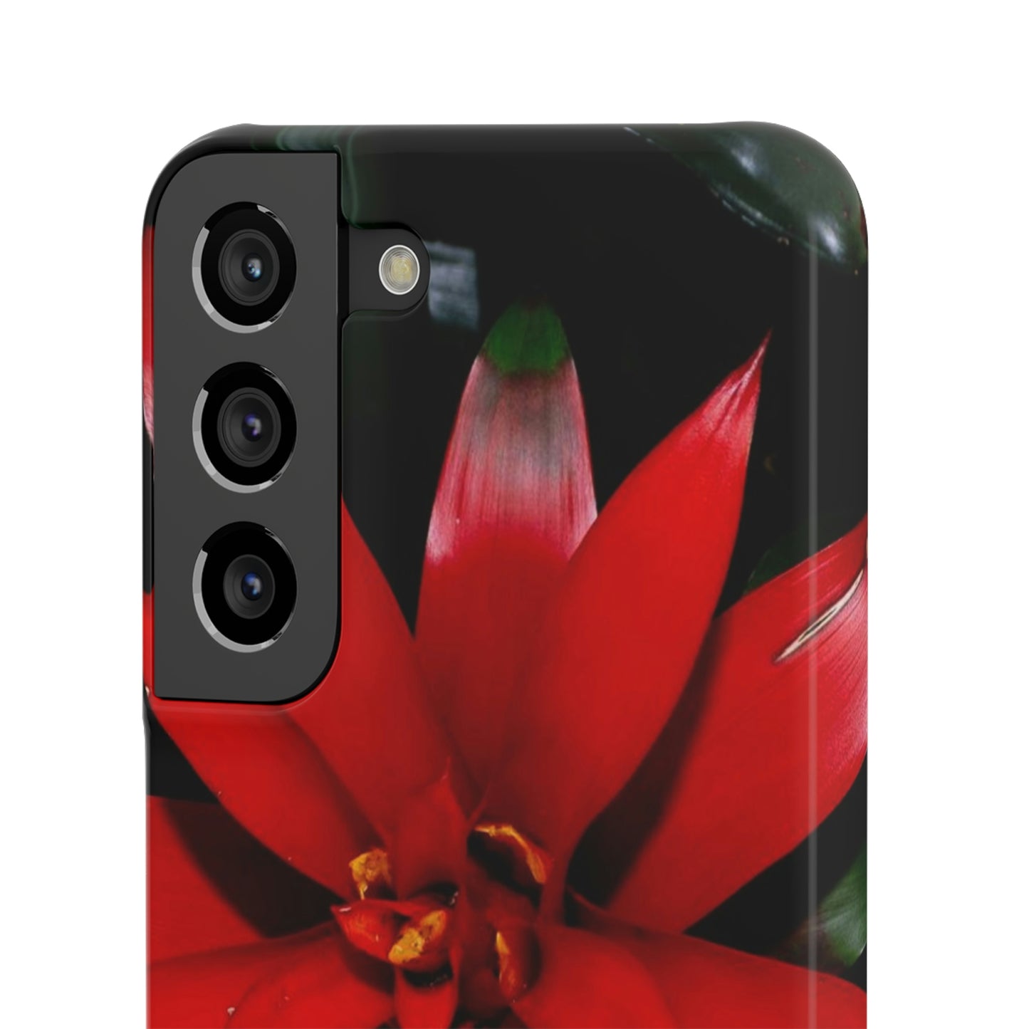 Floral Burst Snap Cases