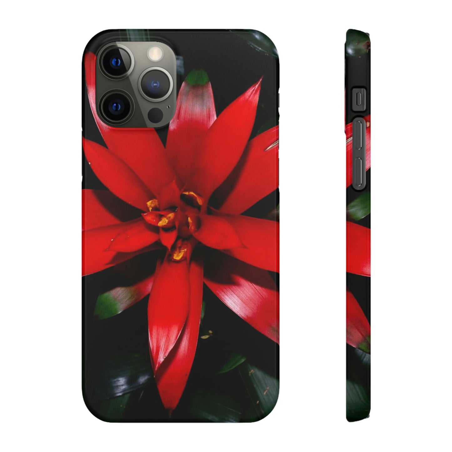 Floral Burst Snap Cases