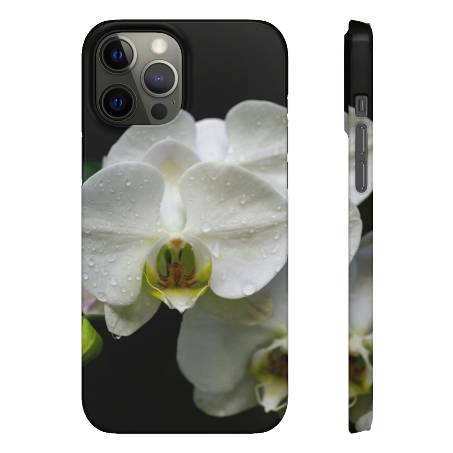 Orchid Snap Cases