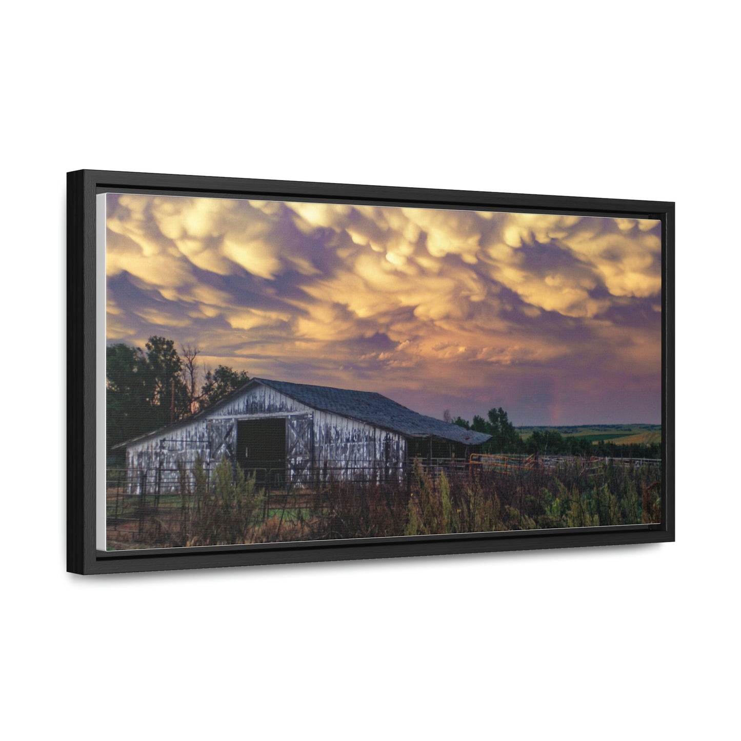 Storm on the plains Gallery Canvas Wraps, Horizontal Frame