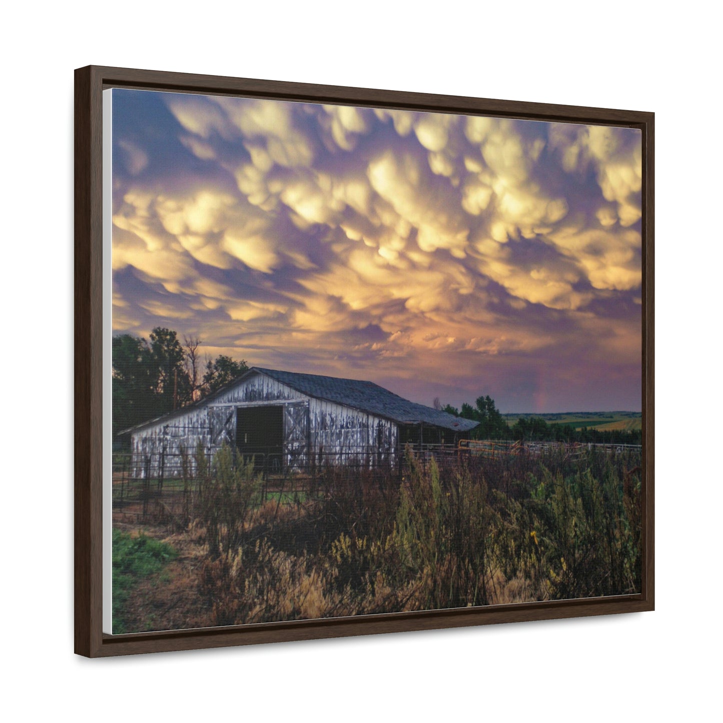 Storm on the plains Gallery Canvas Wraps, Horizontal Frame