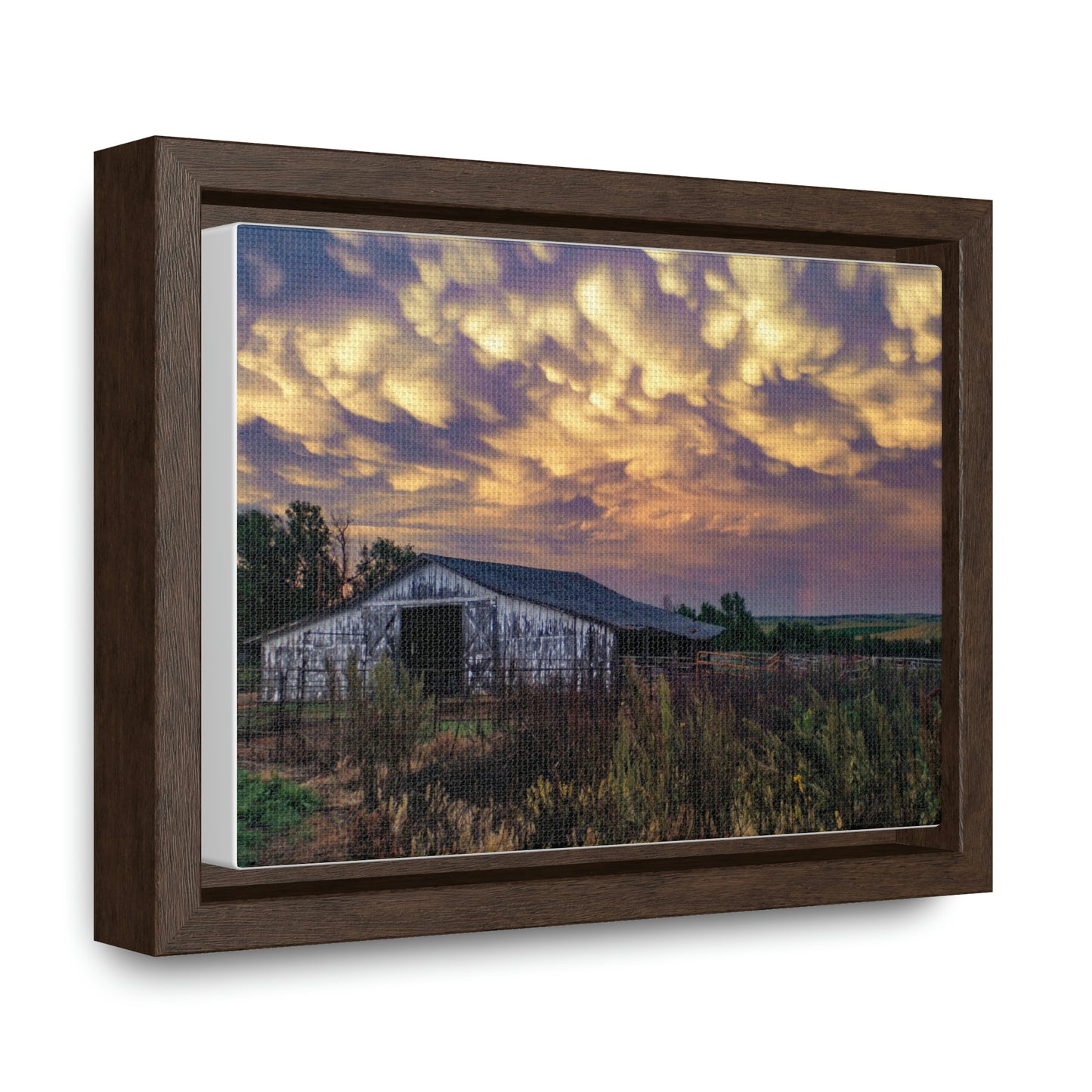 Storm on the plains Gallery Canvas Wraps, Horizontal Frame