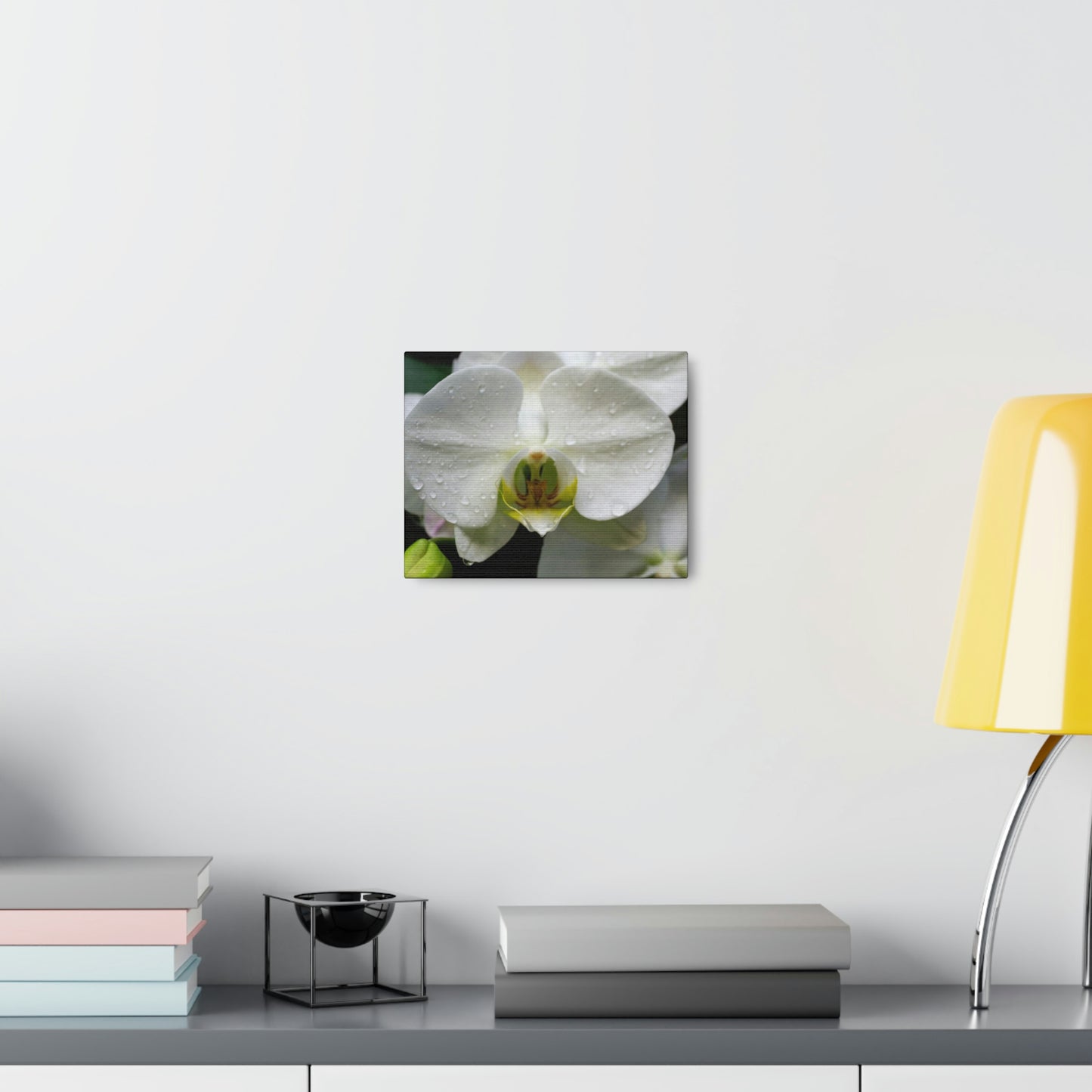 Orchid in the dark Canvas Gallery Wraps