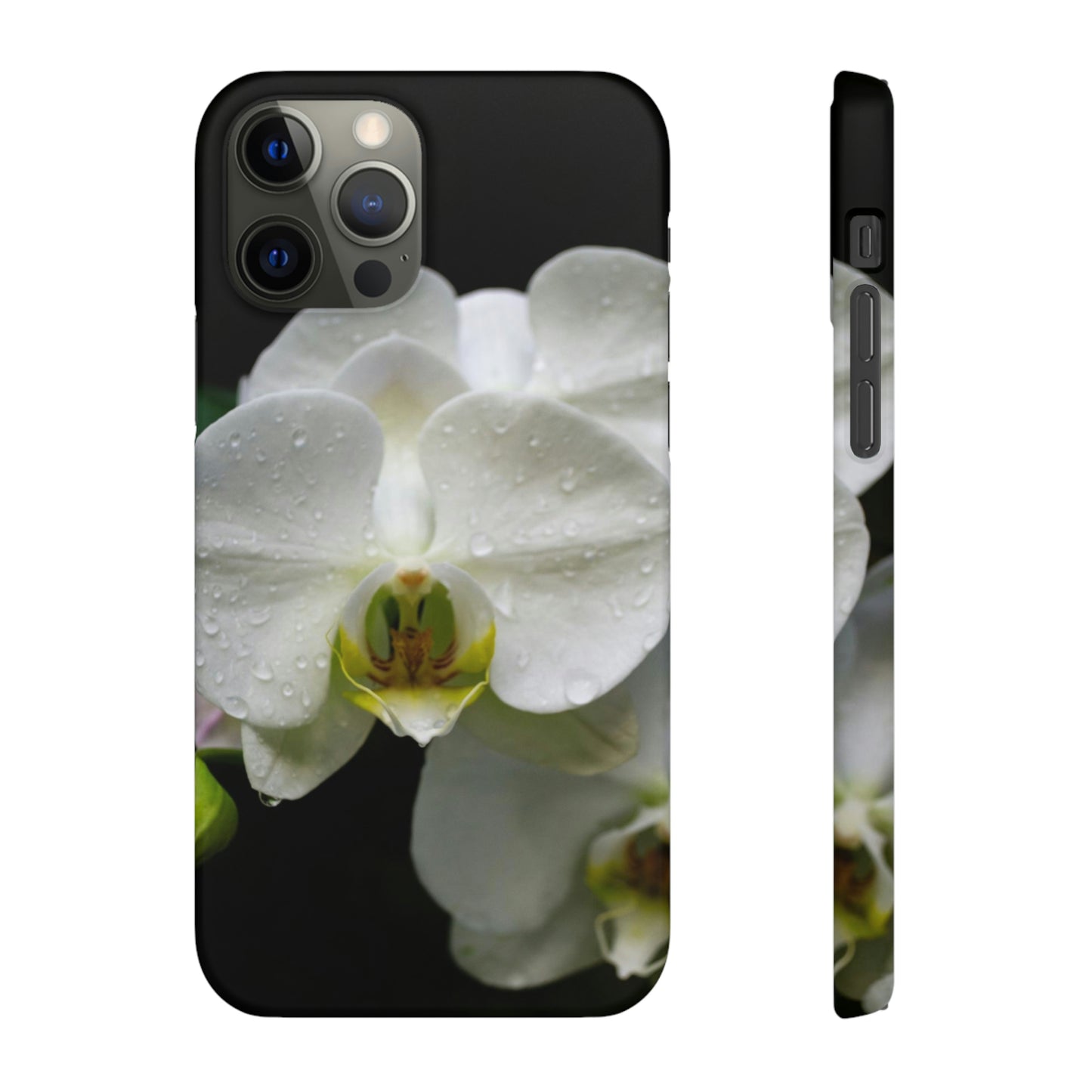 Orchid Snap Cases