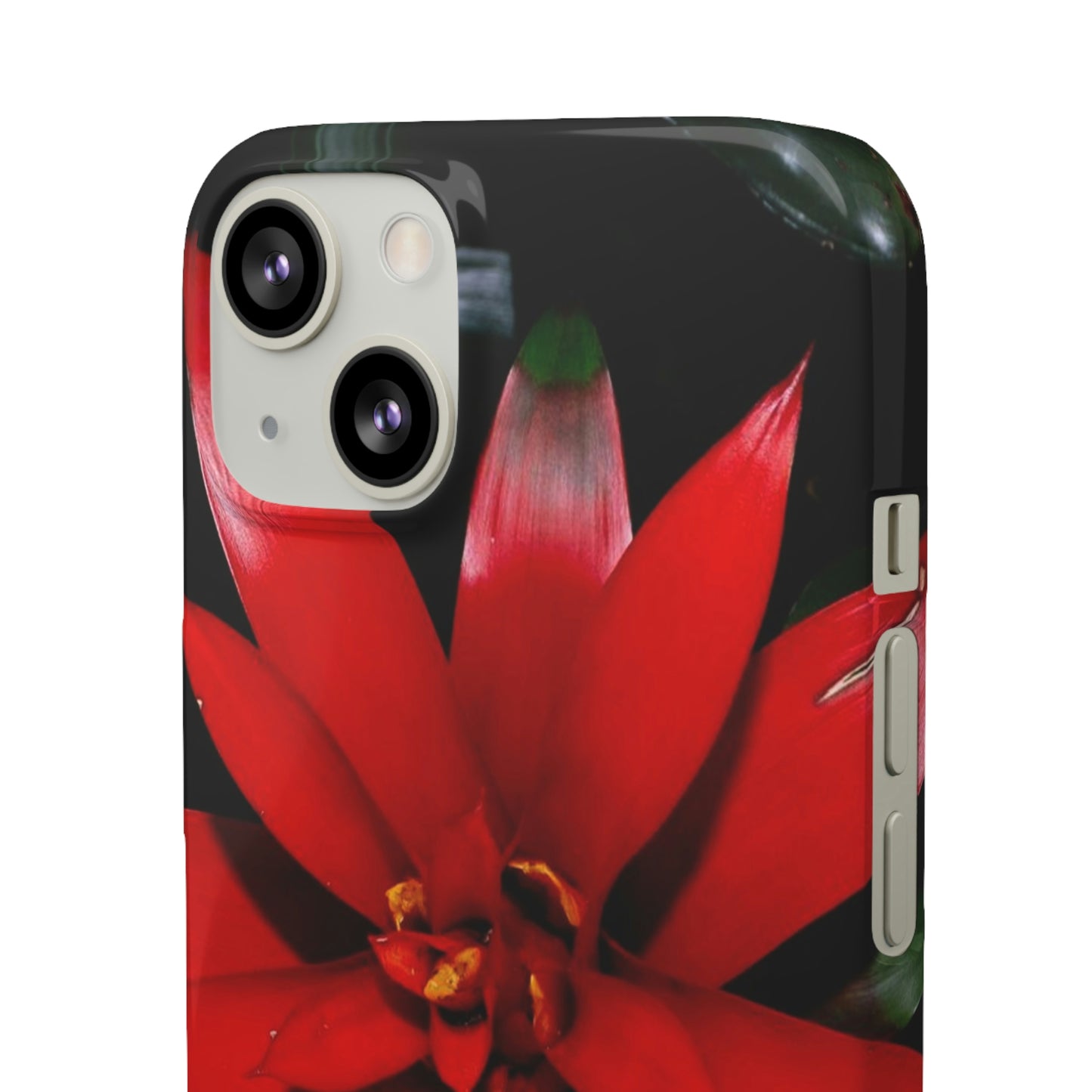 Floral Burst Snap Cases