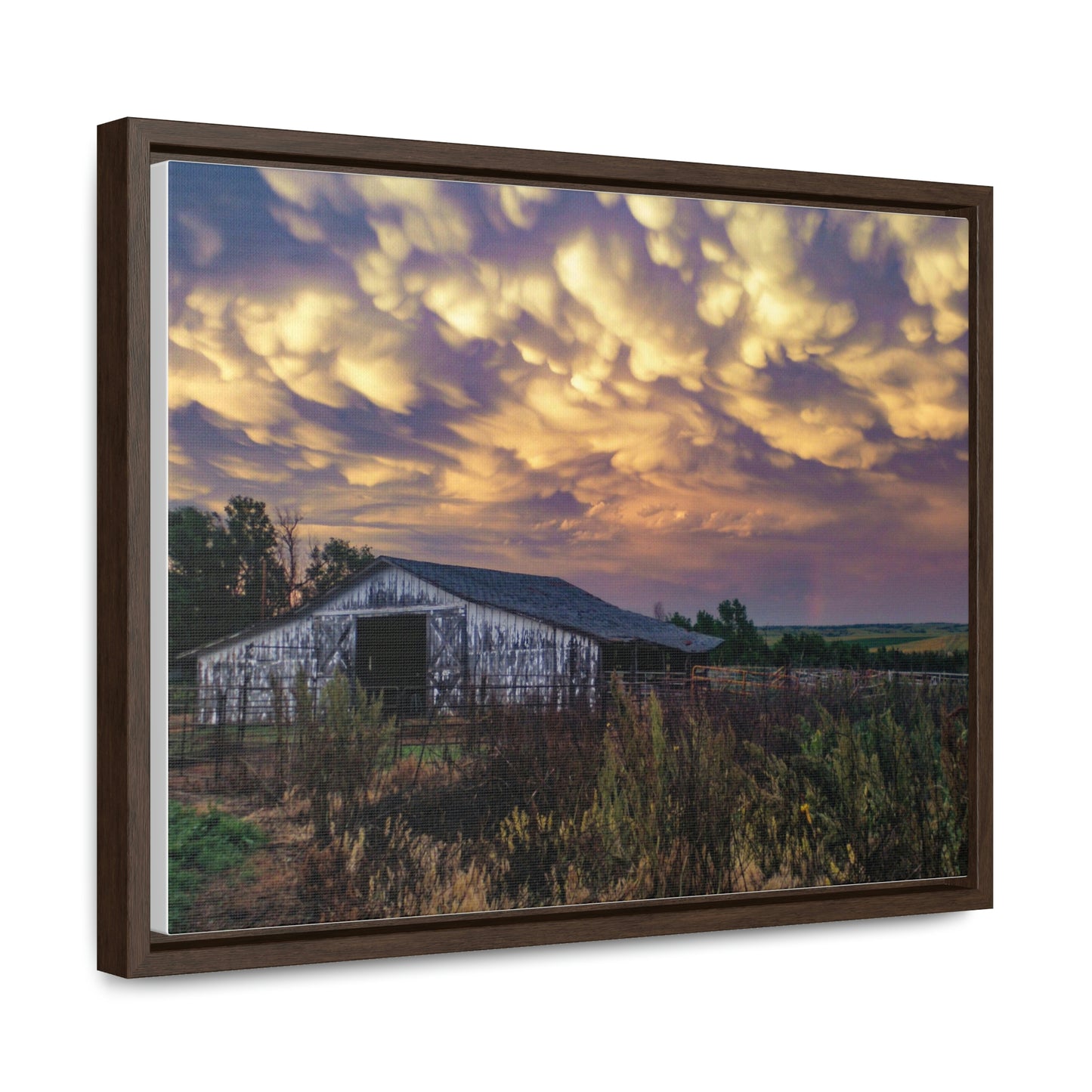 Storm on the plains Gallery Canvas Wraps, Horizontal Frame