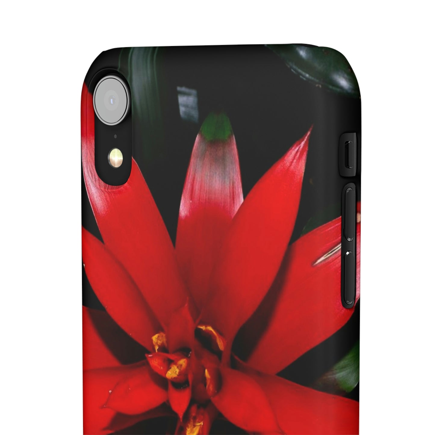 Floral Burst Snap Cases