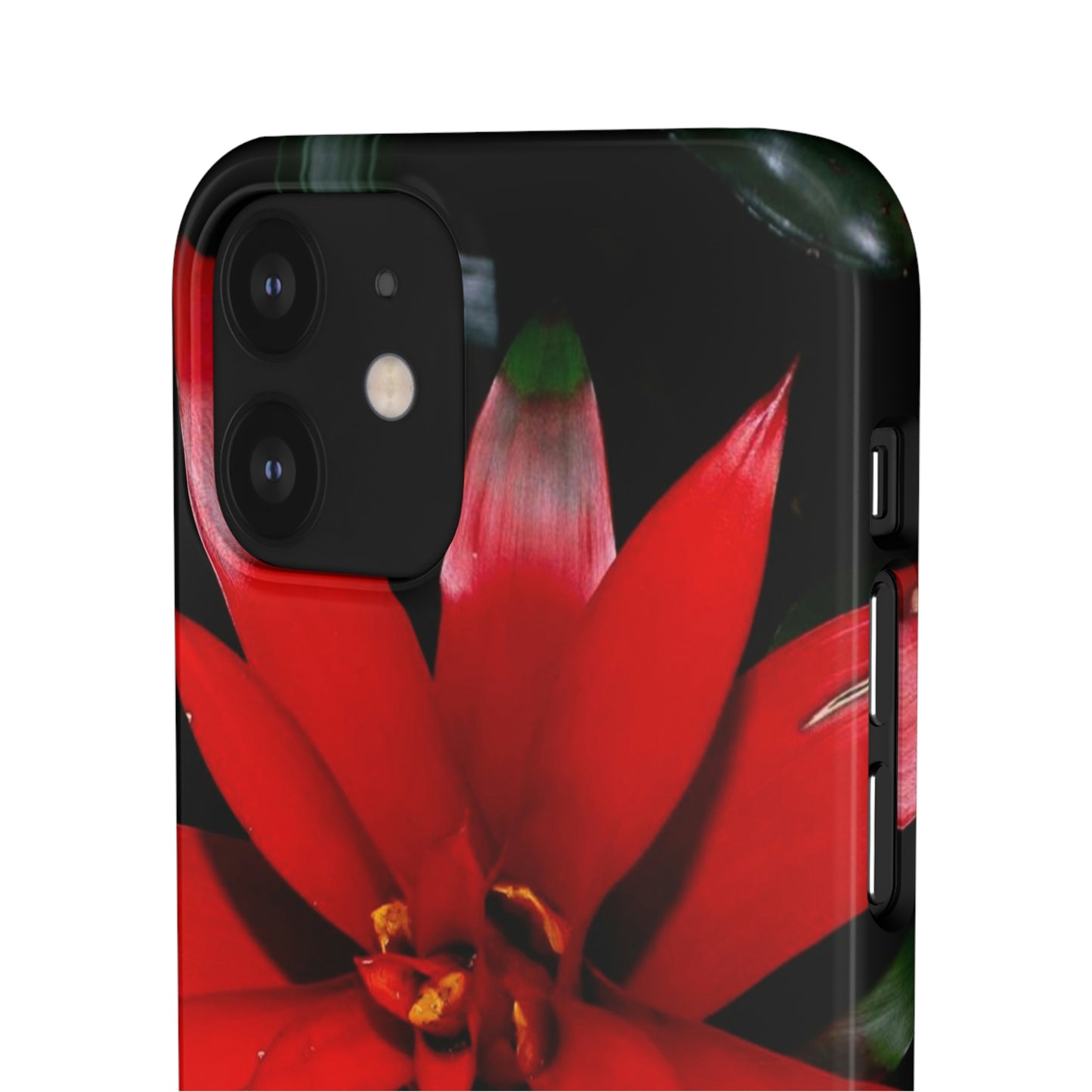 Floral Burst Snap Cases