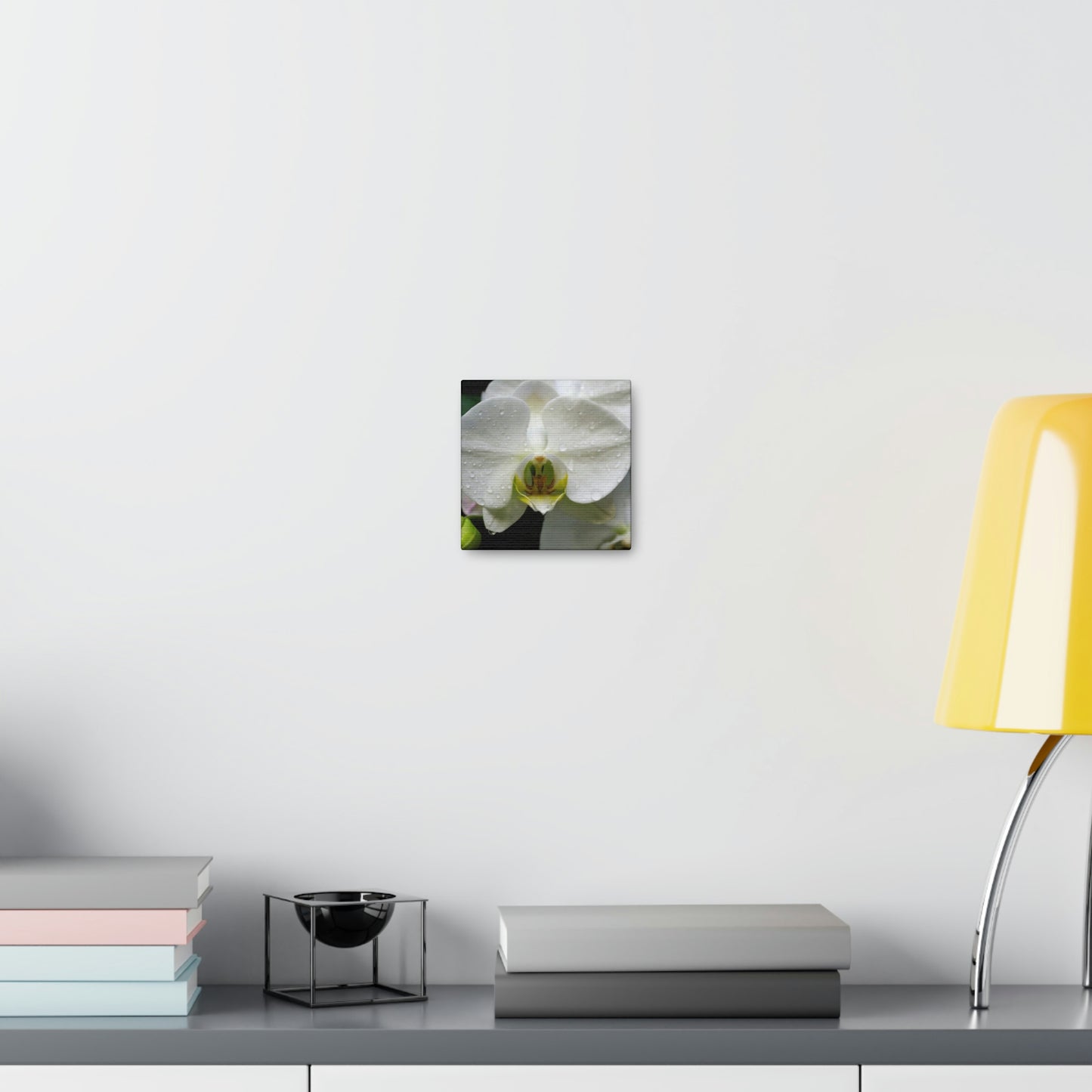 Orchid in the dark Canvas Gallery Wraps