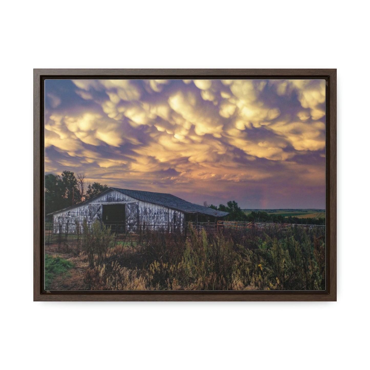 Storm on the plains Gallery Canvas Wraps, Horizontal Frame