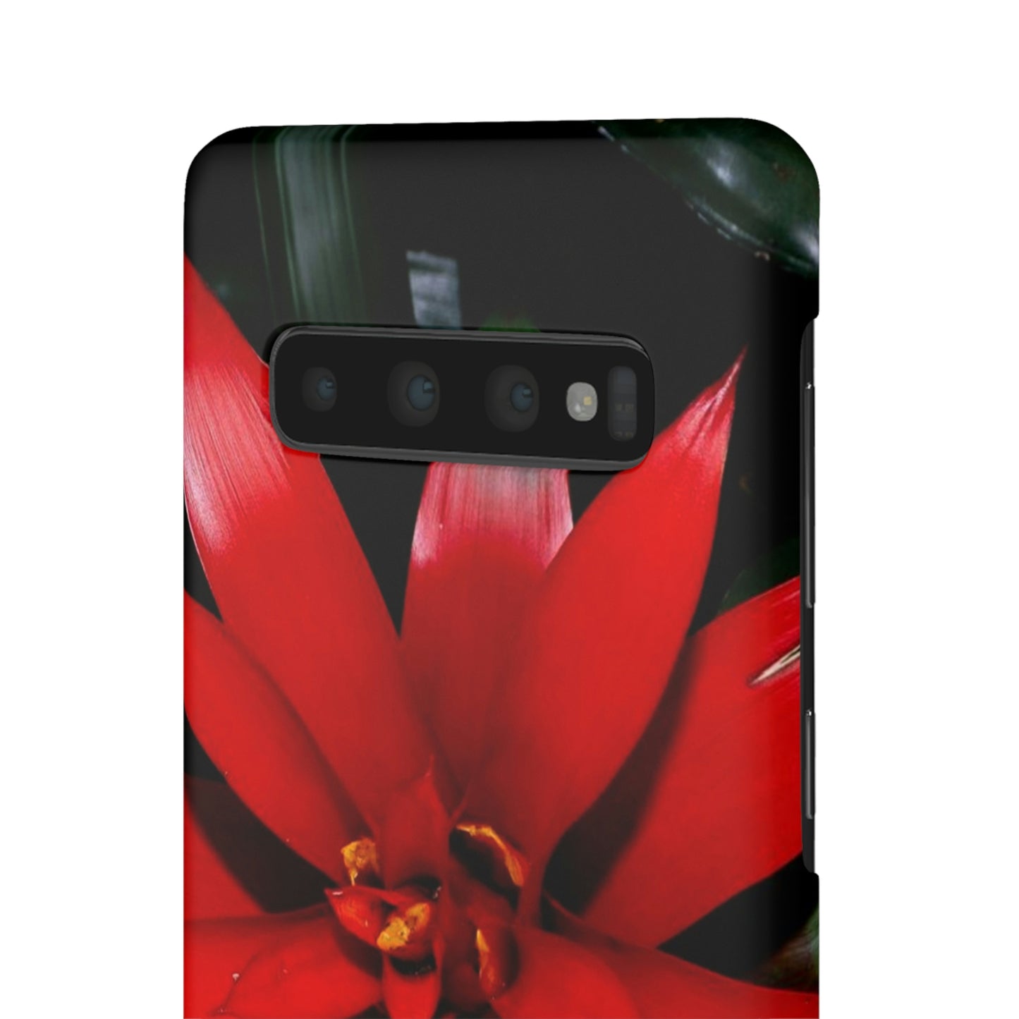 Floral Burst Snap Cases