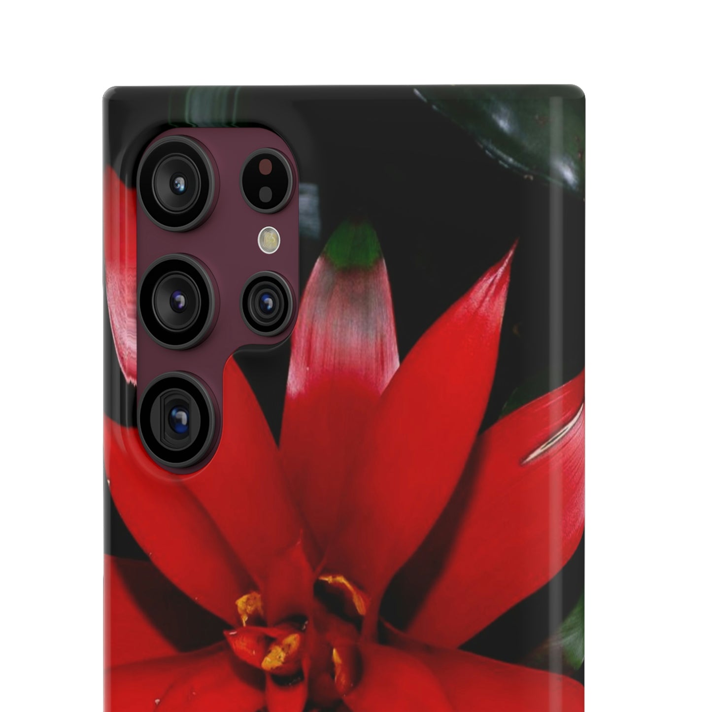 Floral Burst Snap Cases