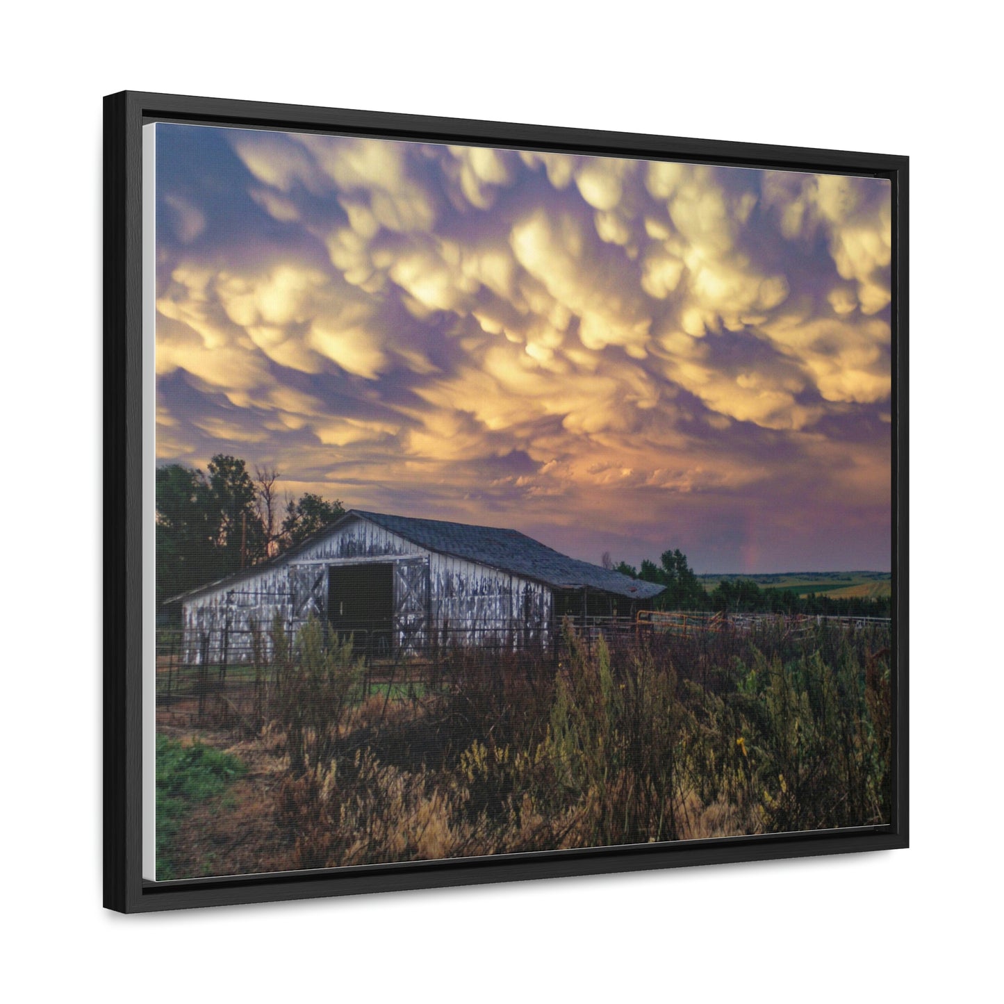 Storm on the plains Gallery Canvas Wraps, Horizontal Frame