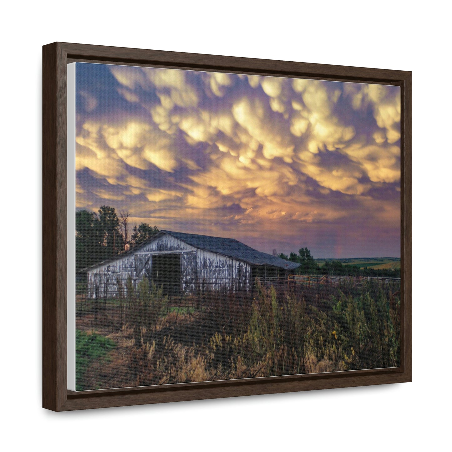 Storm on the plains Gallery Canvas Wraps, Horizontal Frame