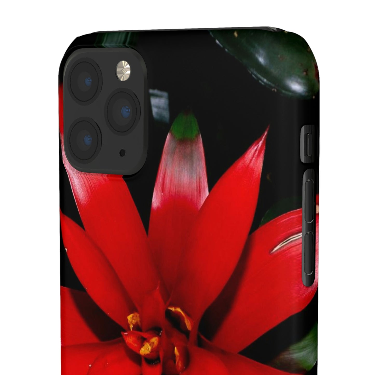 Floral Burst Snap Cases