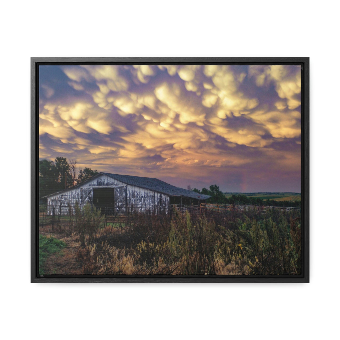 Storm on the plains Gallery Canvas Wraps, Horizontal Frame