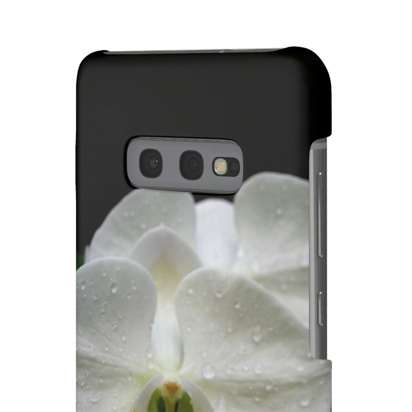 Orchid Snap Cases