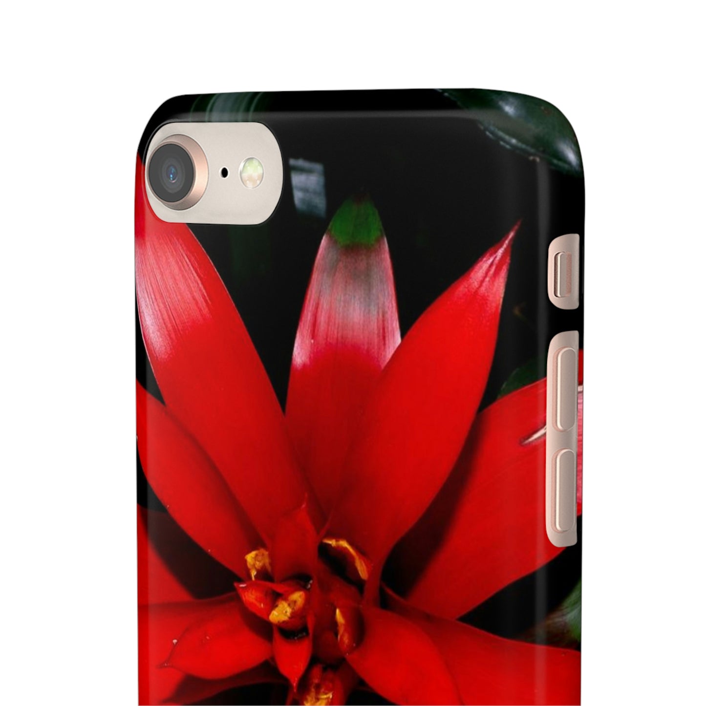 Floral Burst Snap Cases