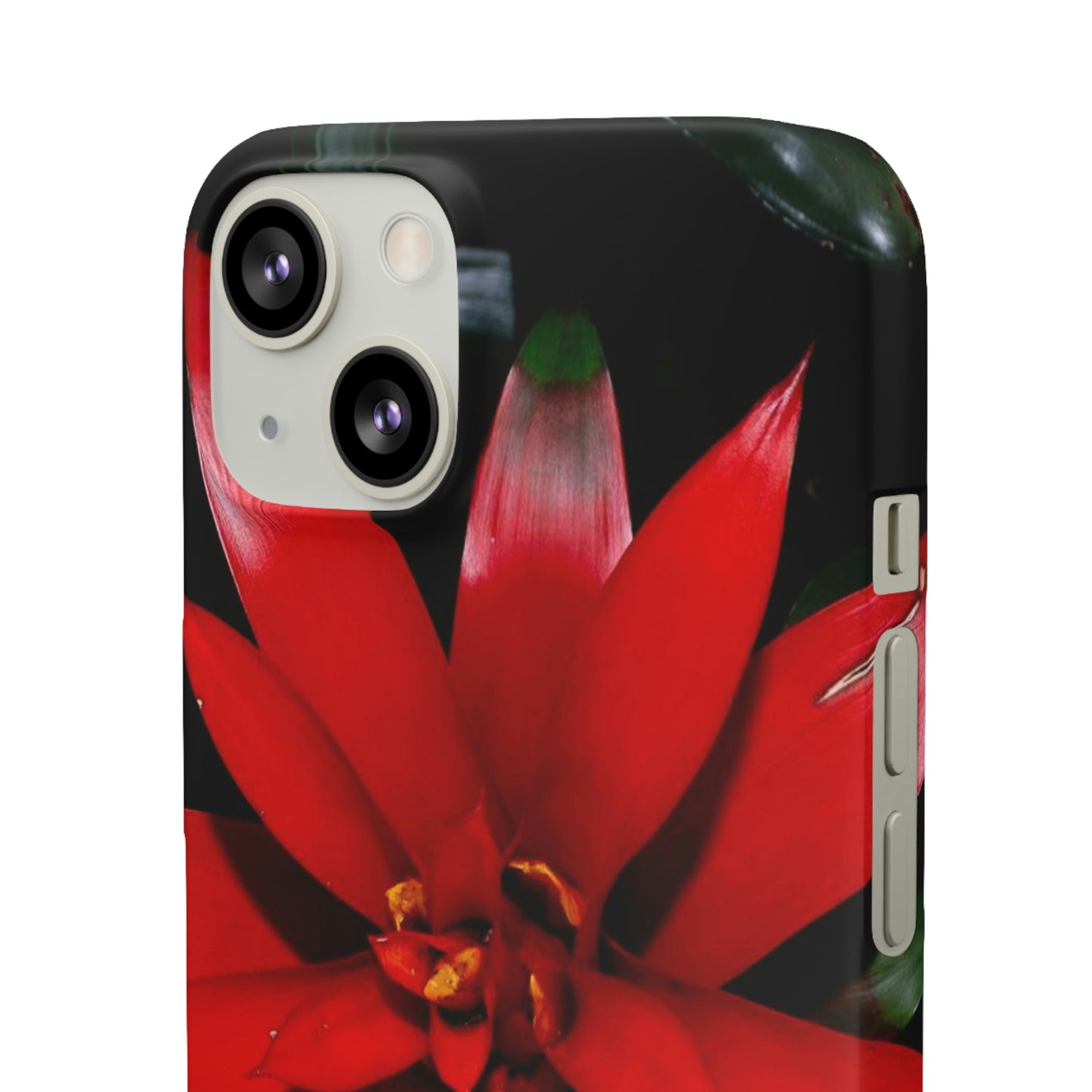 Floral Burst Snap Cases