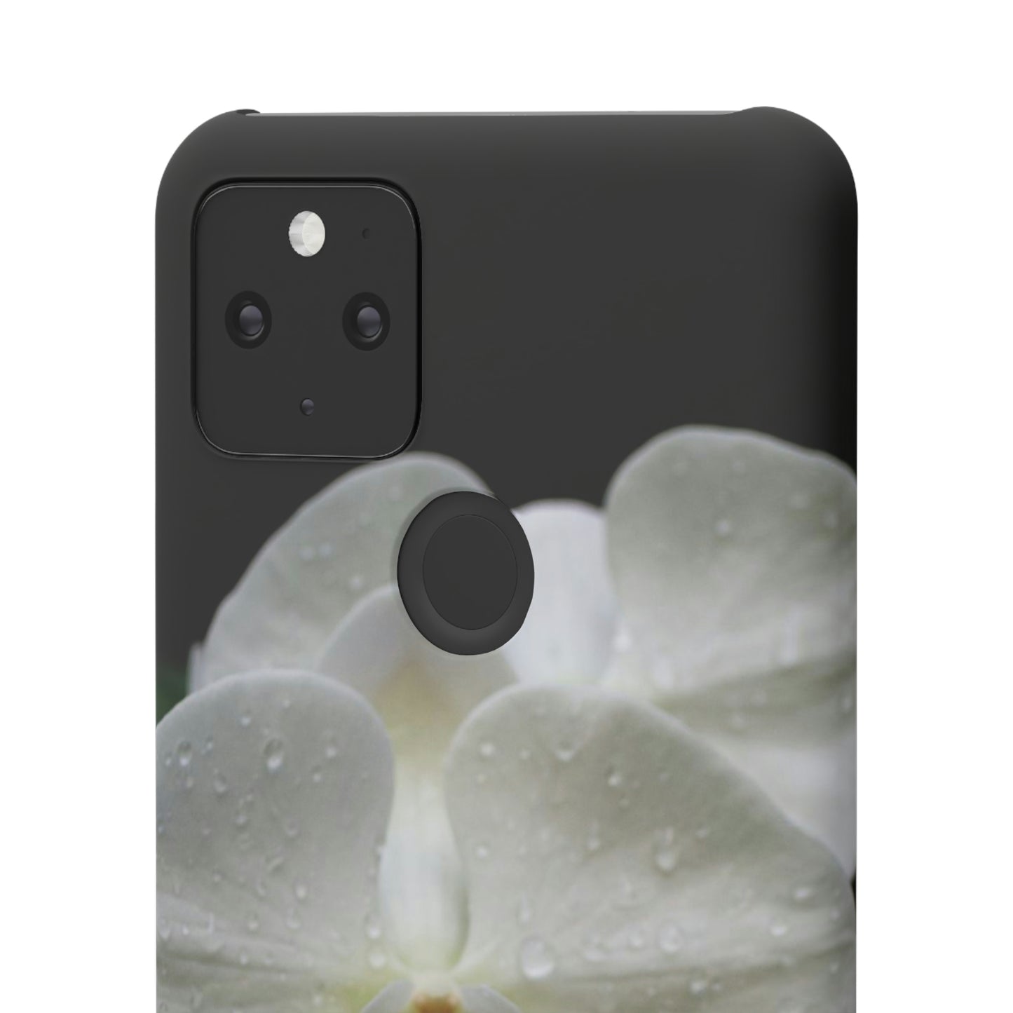 Orchid Snap Cases