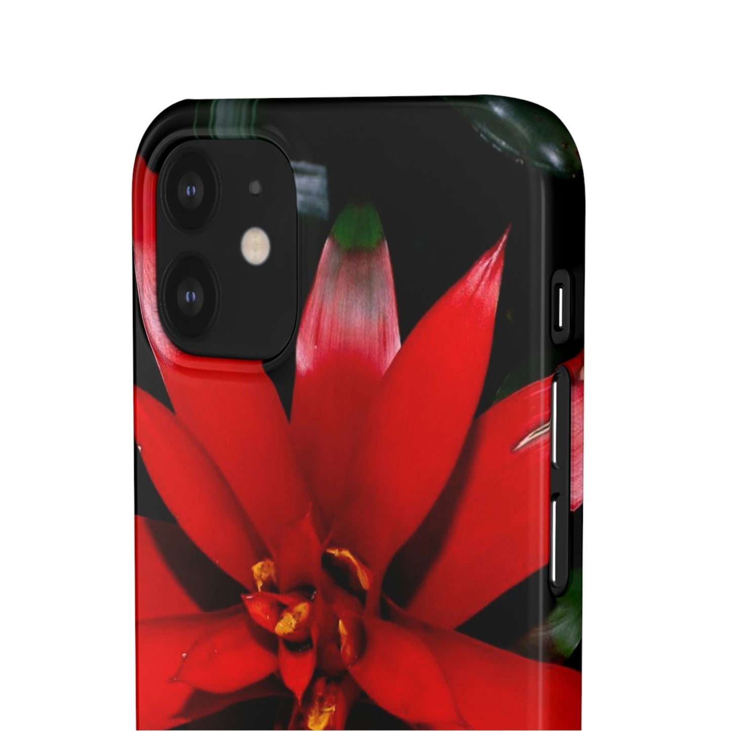 Floral Burst Snap Cases