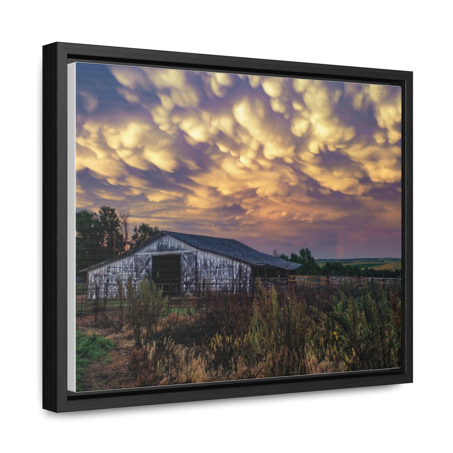 Storm on the plains Gallery Canvas Wraps, Horizontal Frame