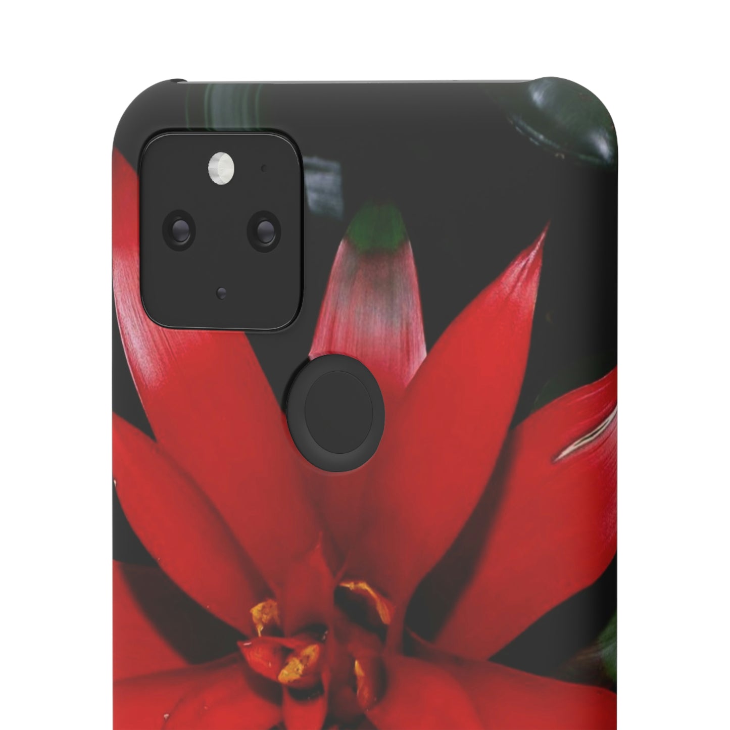 Floral Burst Snap Cases