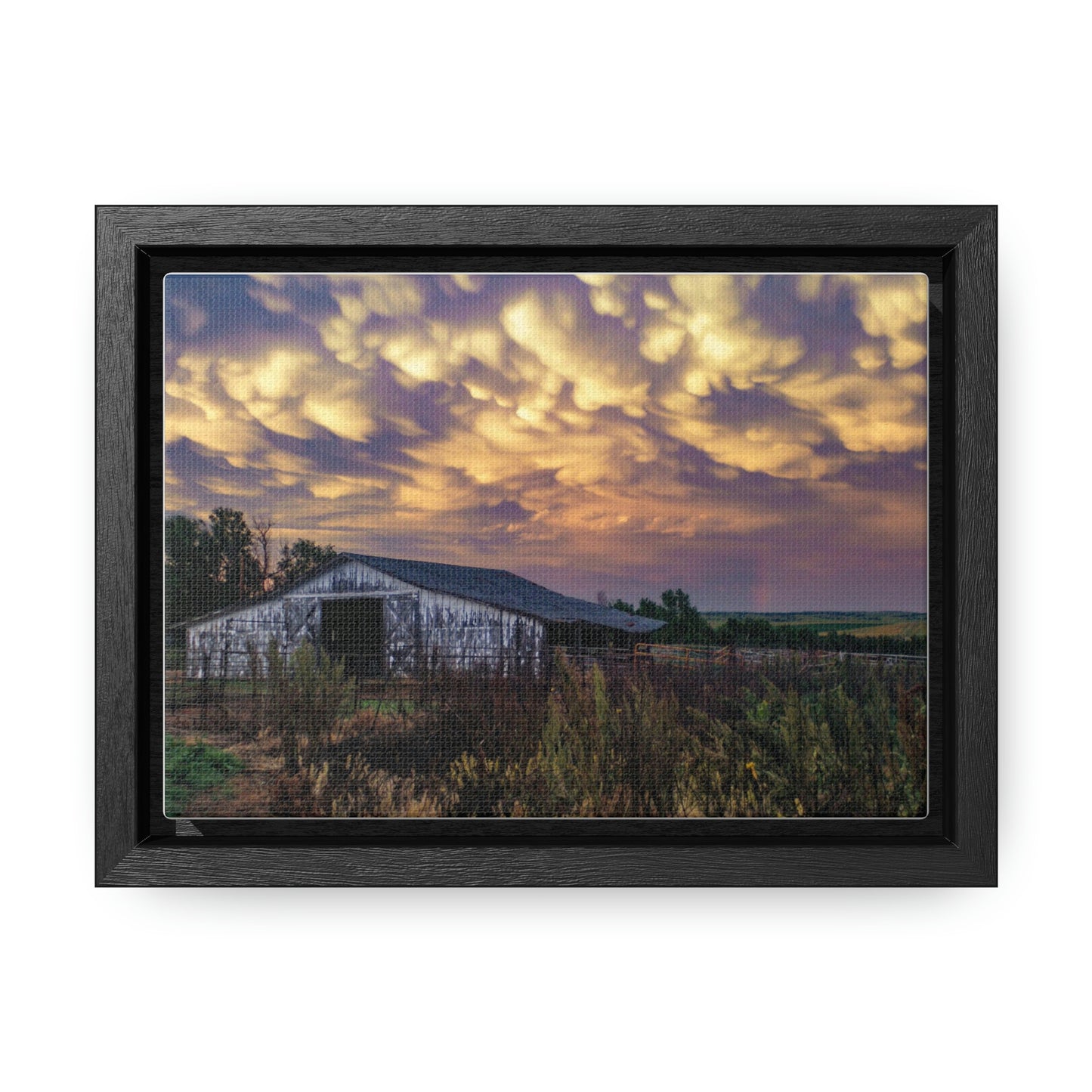 Storm on the plains Gallery Canvas Wraps, Horizontal Frame