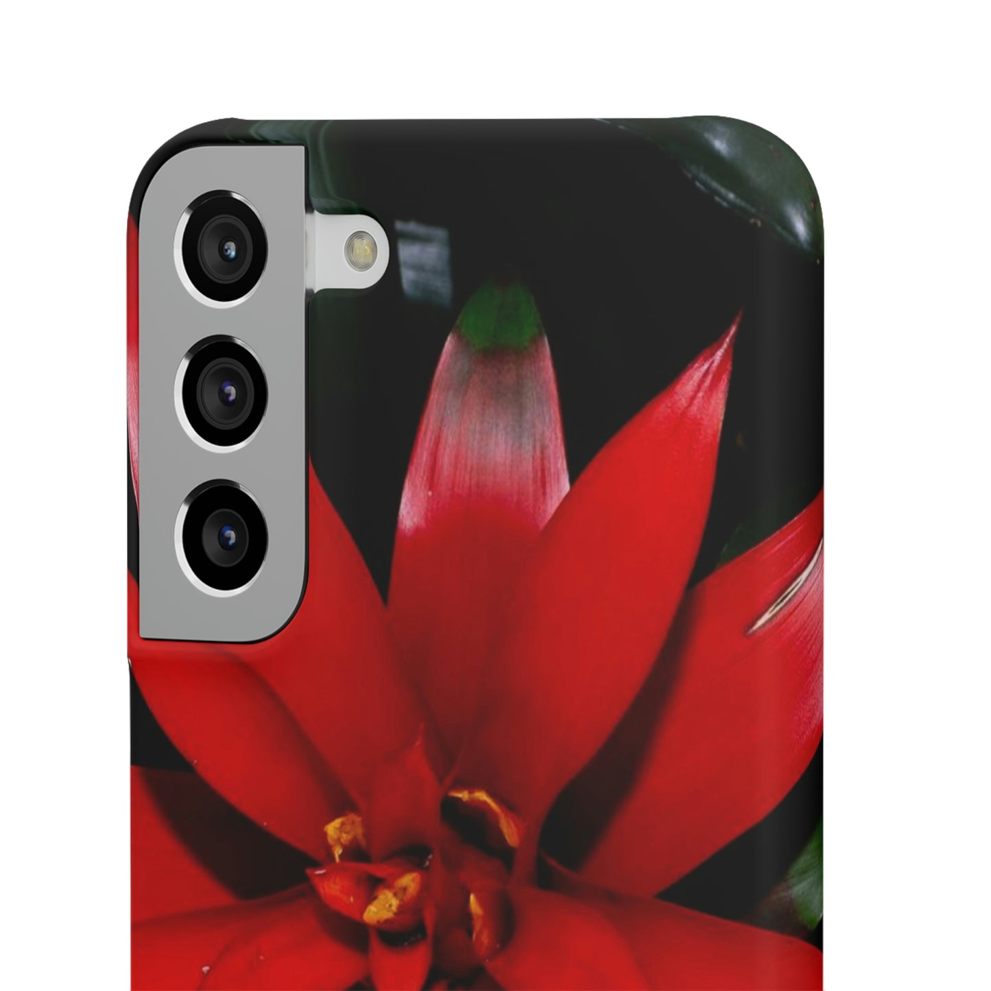 Floral Burst Snap Cases