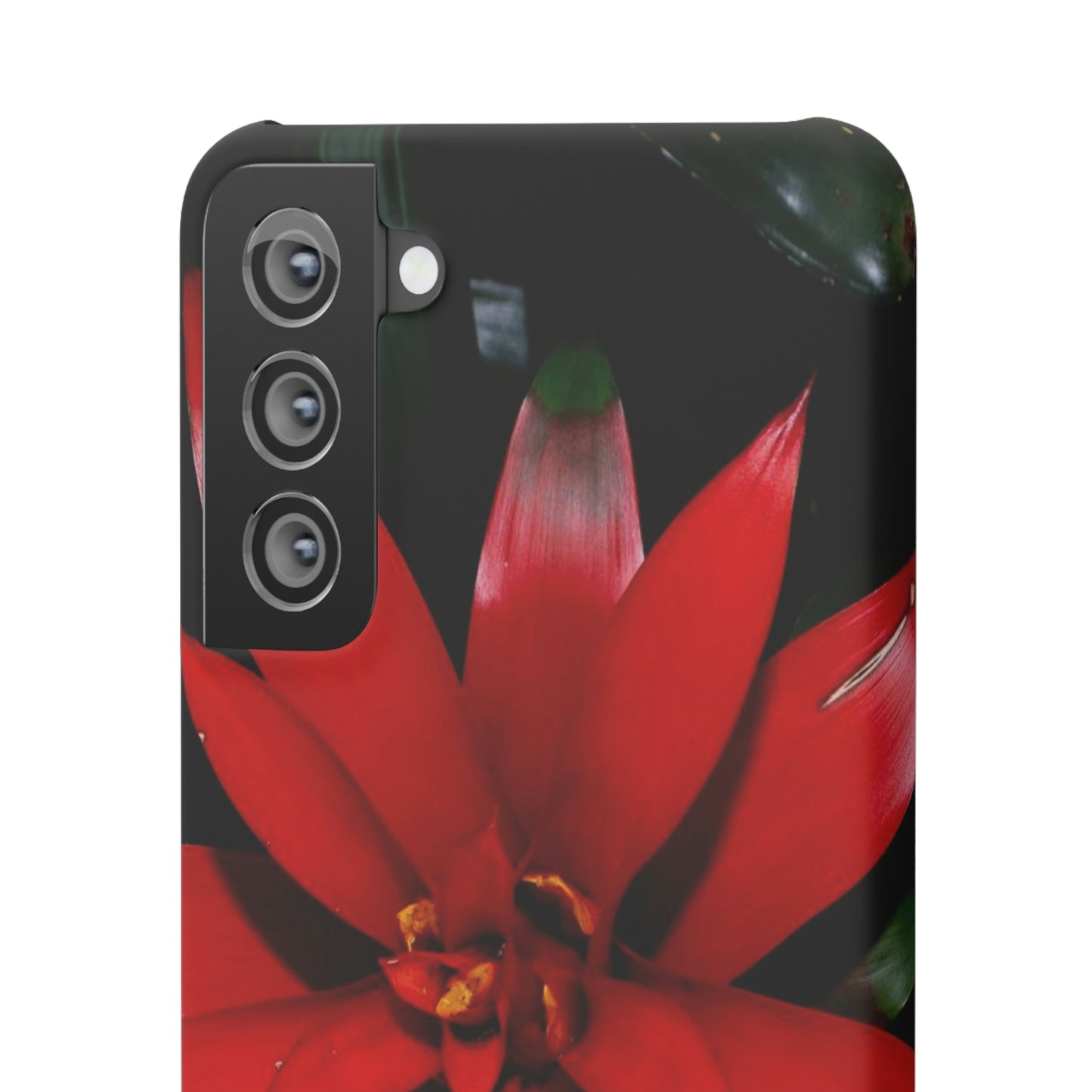 Floral Burst Snap Cases