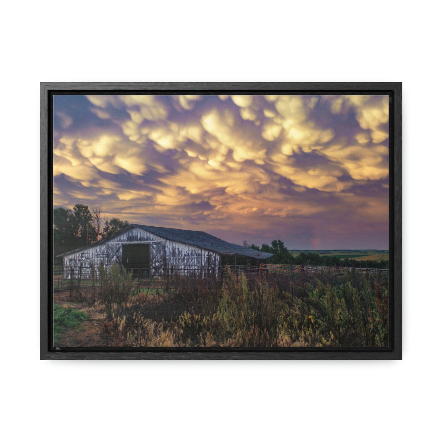 Storm on the plains Gallery Canvas Wraps, Horizontal Frame