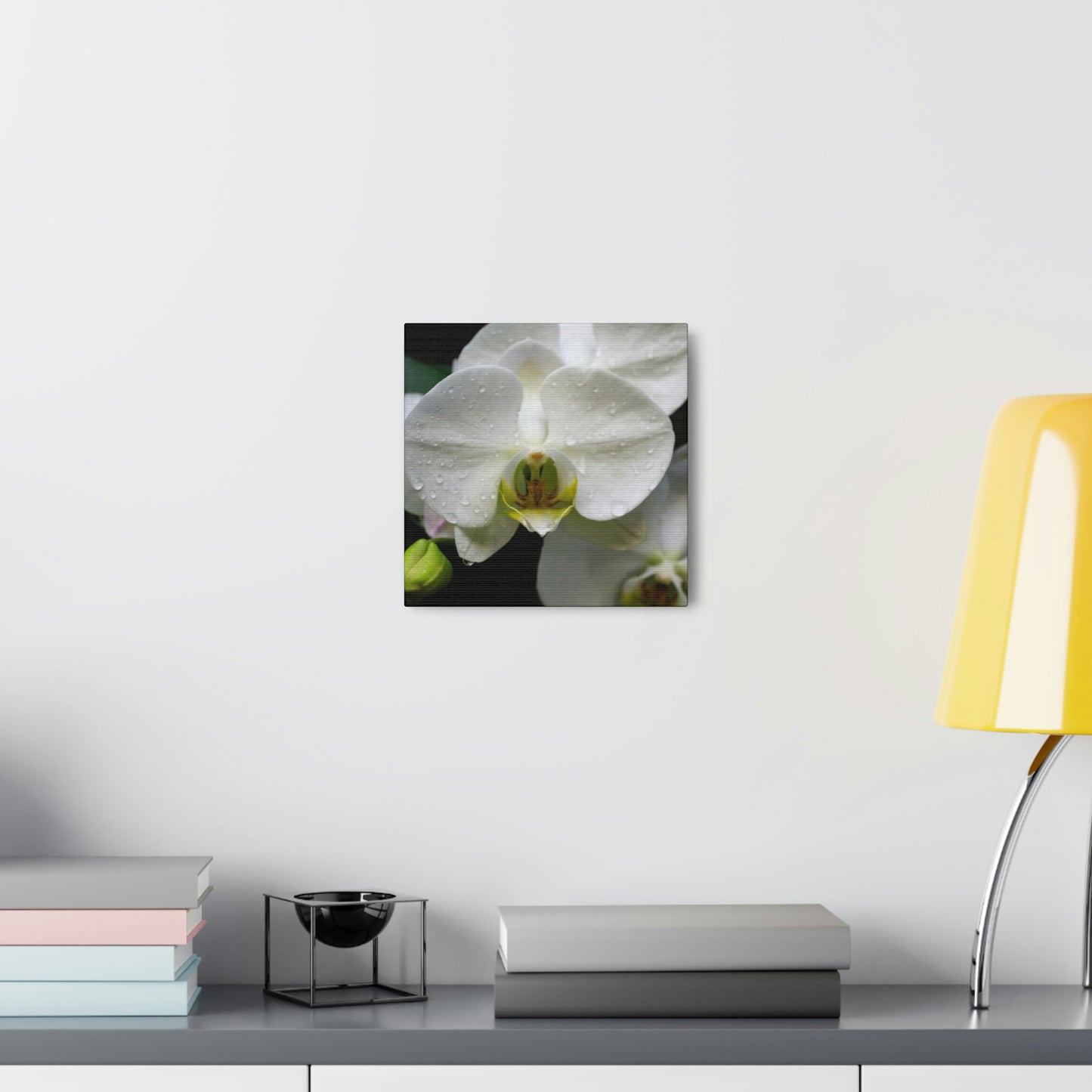 Orchid in the dark Canvas Gallery Wraps