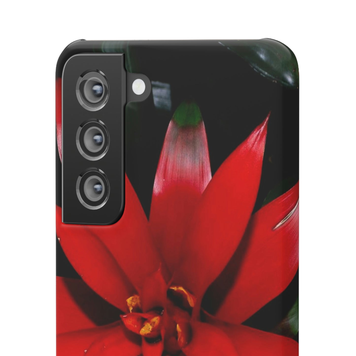 Floral Burst Snap Cases