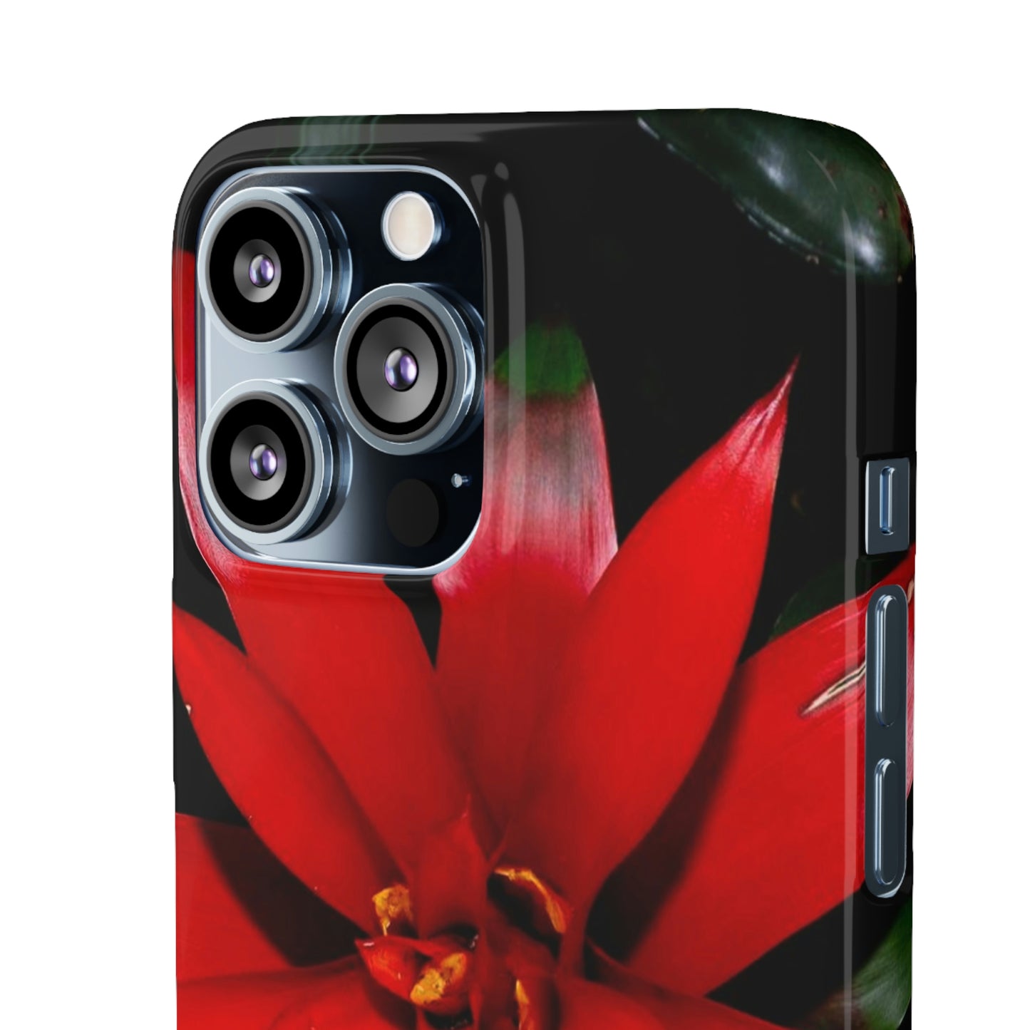 Floral Burst Snap Cases