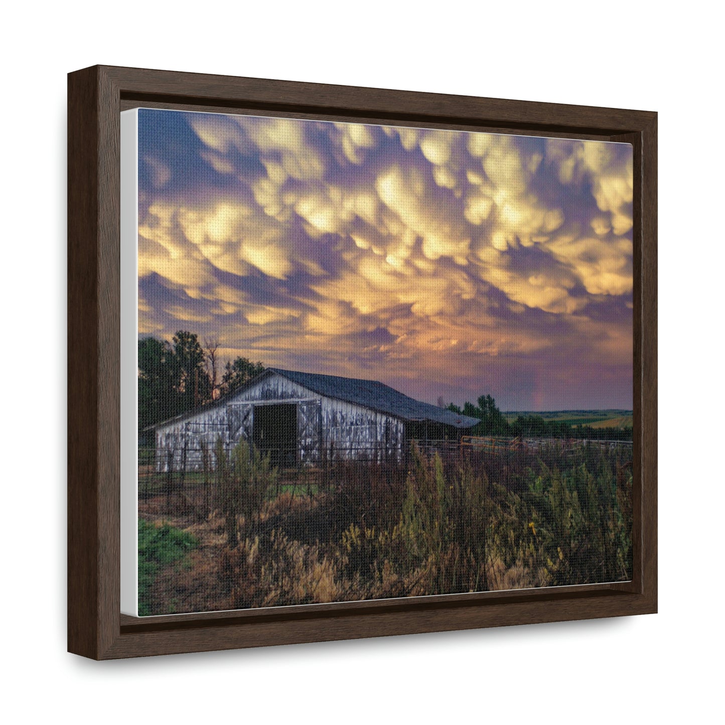 Storm on the plains Gallery Canvas Wraps, Horizontal Frame