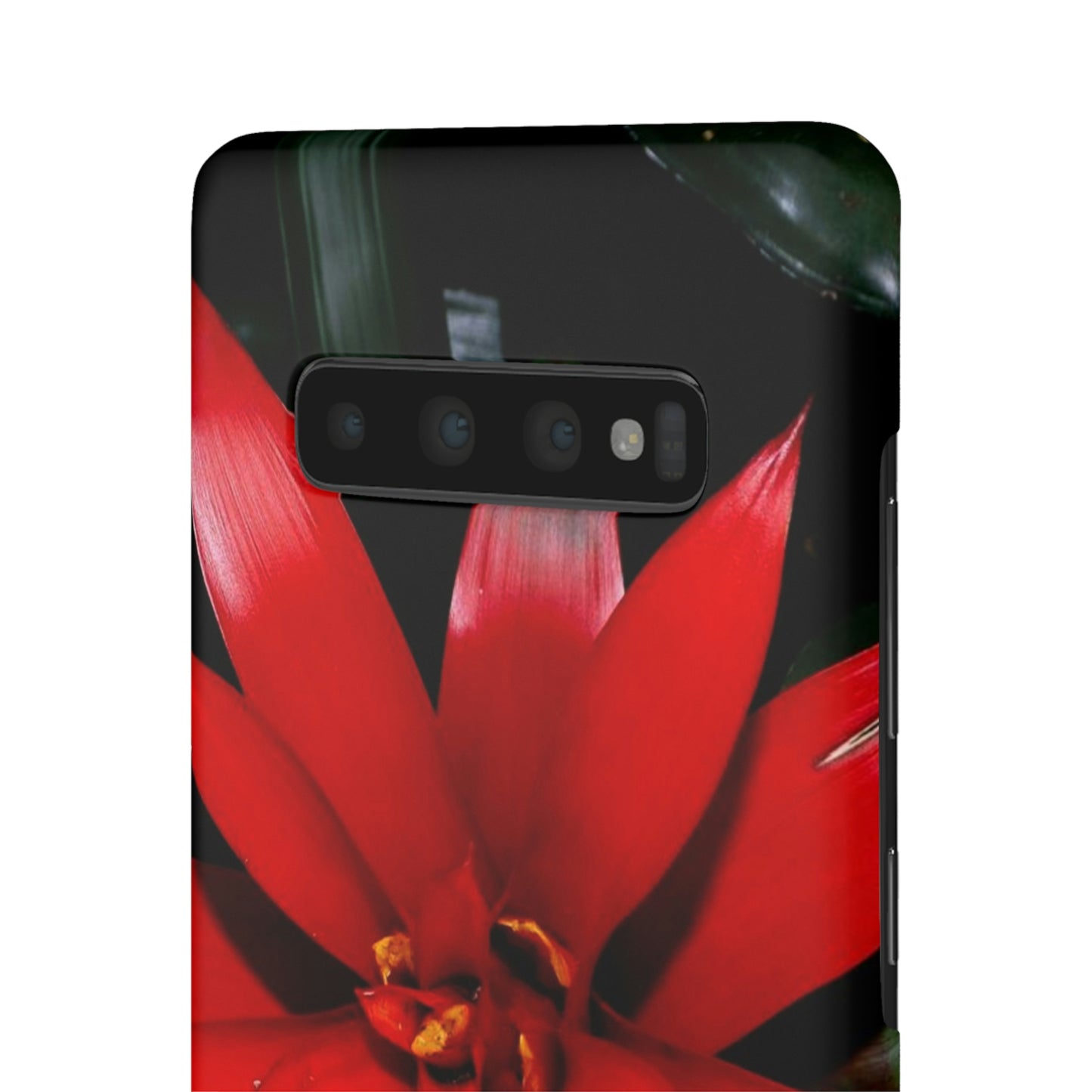 Floral Burst Snap Cases