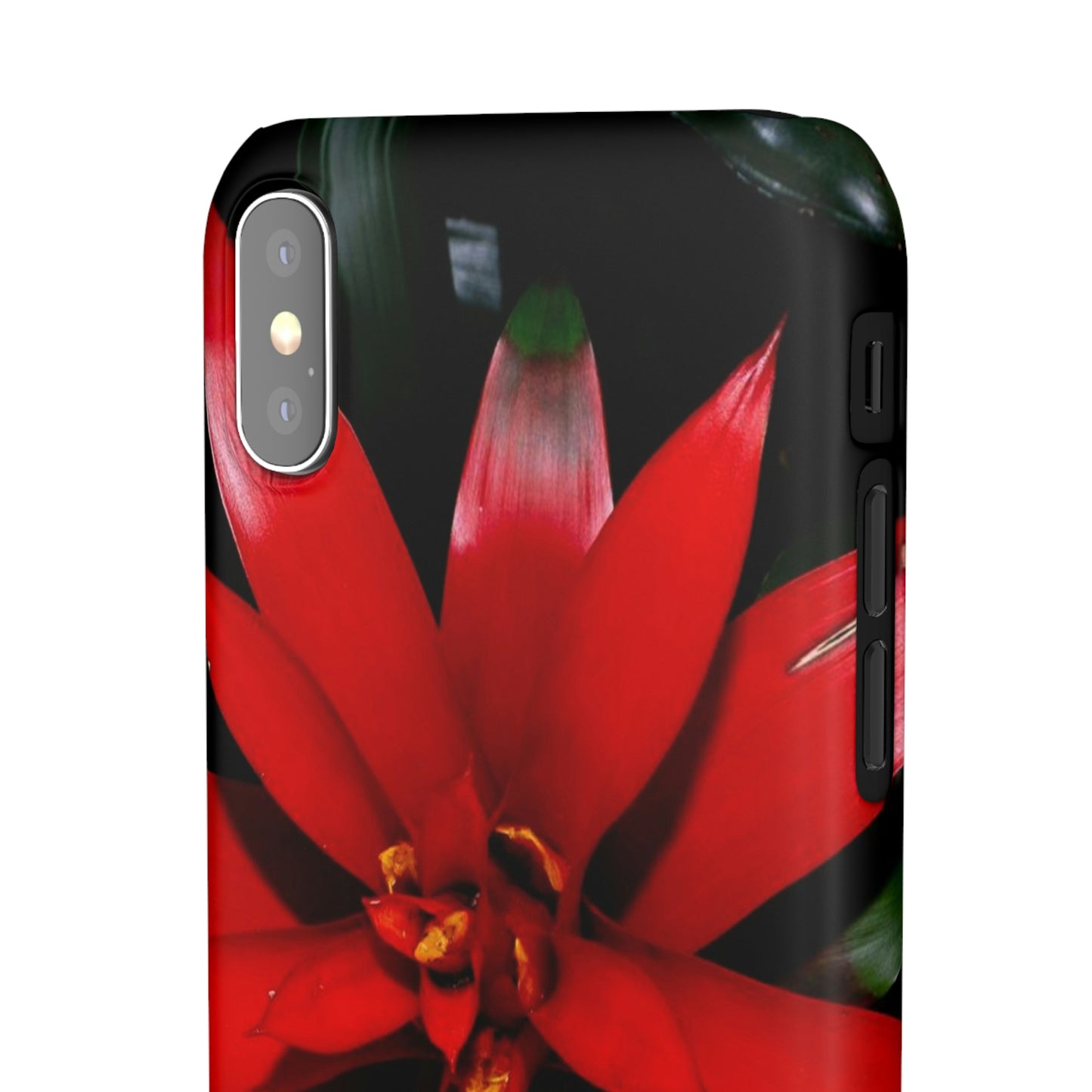 Floral Burst Snap Cases