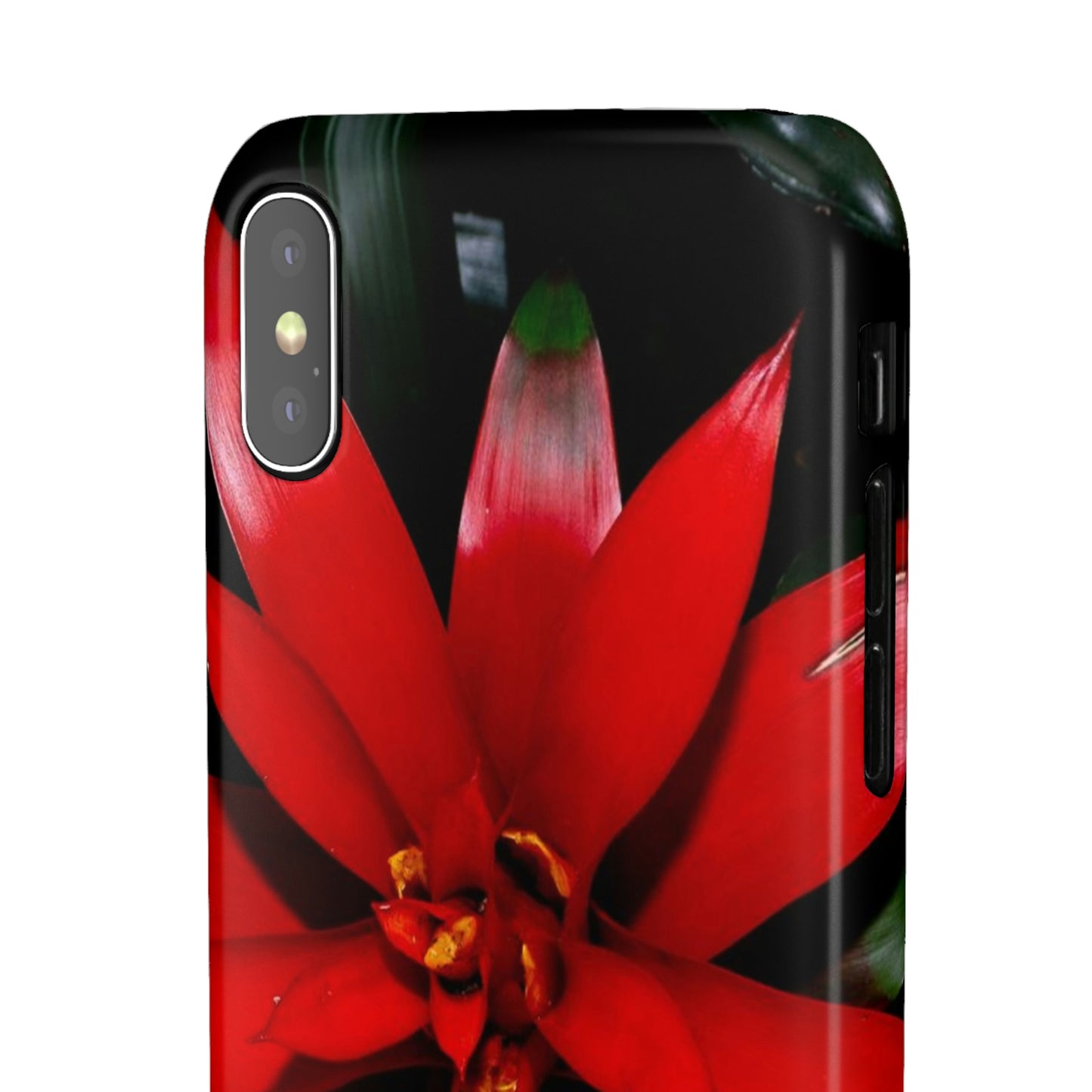 Floral Burst Snap Cases