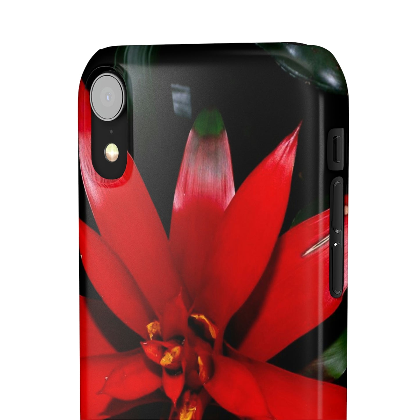 Floral Burst Snap Cases